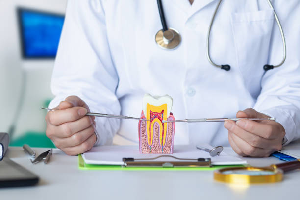 Best Tooth Infection Emergency Dentist  in Lebanon, IN
